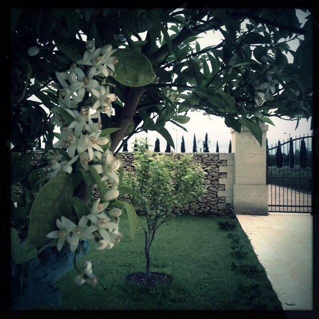 Masseria San Polo Squinzano Exterior foto