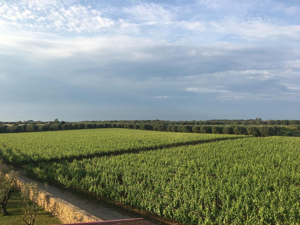 Masseria San Polo Squinzano Exterior foto